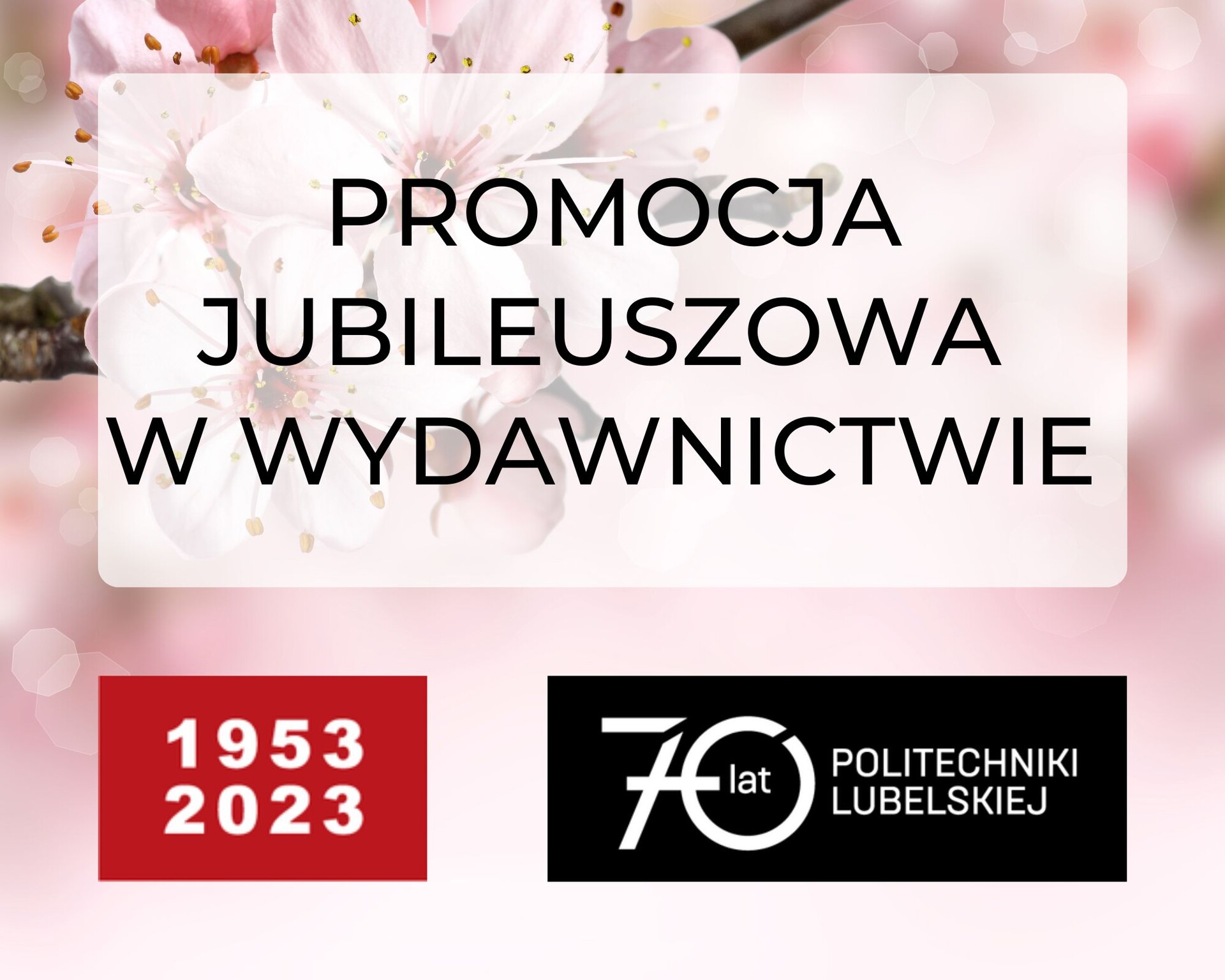 promocja.jpg