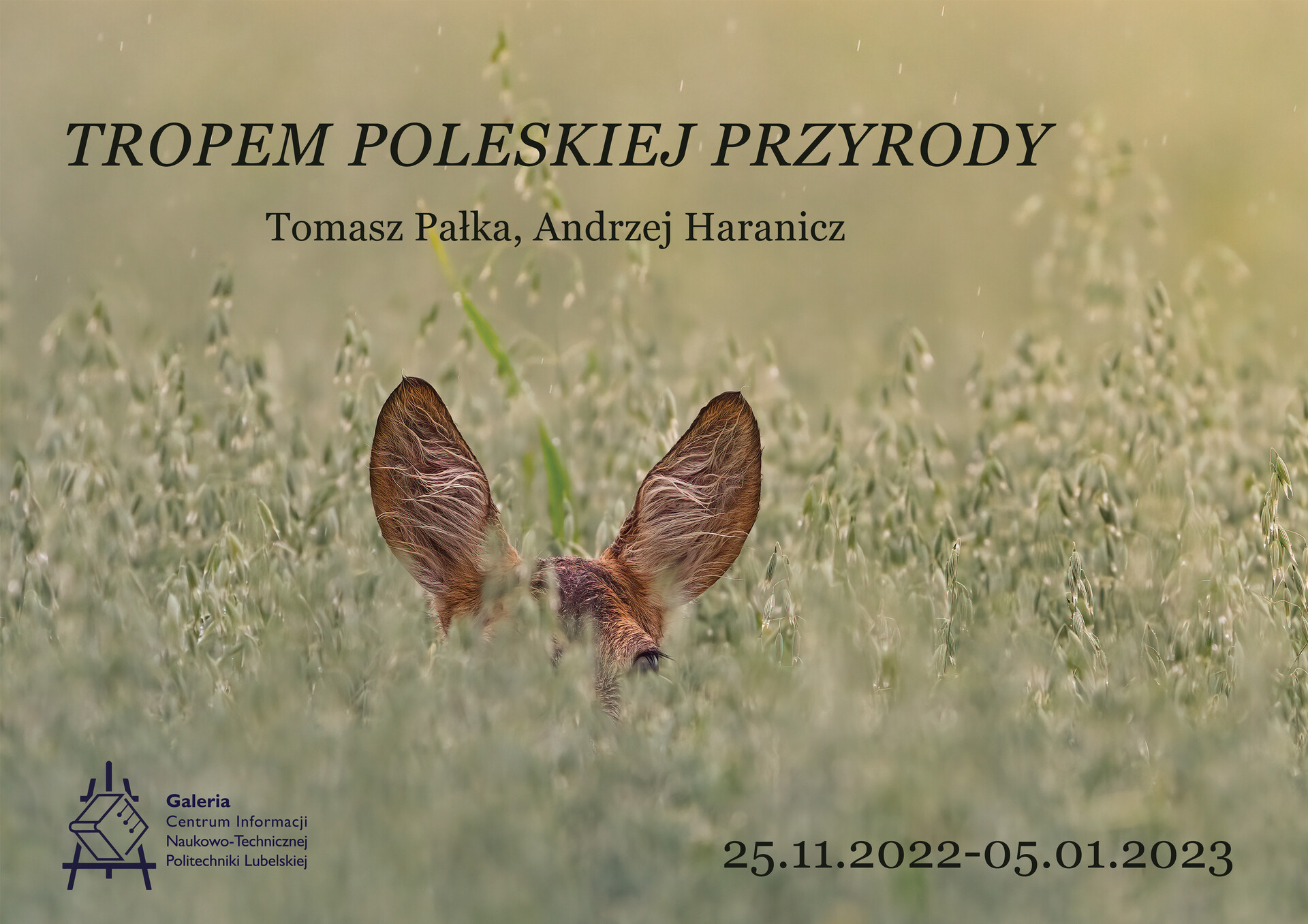 Plakat tropem poleskiej przyrody